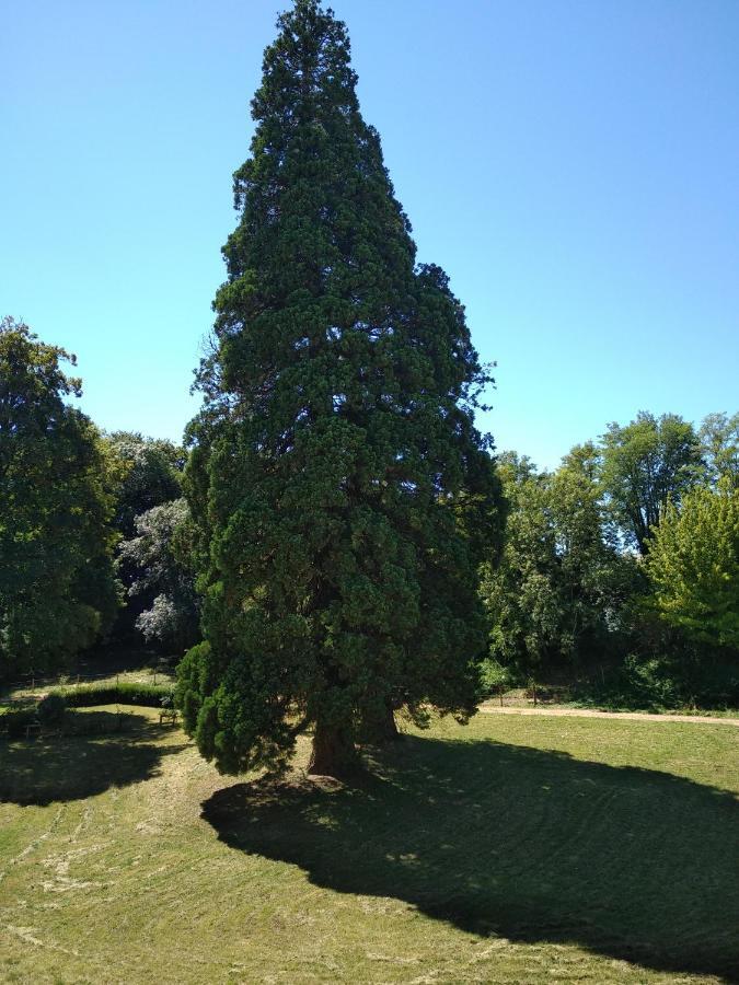Chateau De St Alyre Hotel Sanssat Buitenkant foto